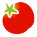番茄视频app2024安卓版