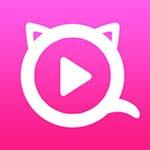 猫咪视频app免费高清