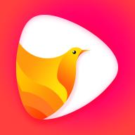 鸽迷短视频APPv1.2.9安卓版