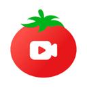 番茄直播社区黄版本app