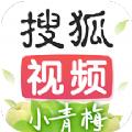 搜狐视频官方app软件下载 v9.8.60