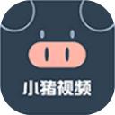 小猪视频app2024安卓版