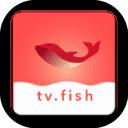 大鱼视频app版本