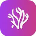 珊瑚视频播放器app手机版 v1.1