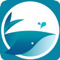 软件下载蓝鲸影视app2024最新版