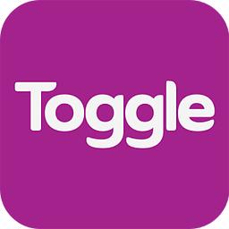 Toggle视频播放器