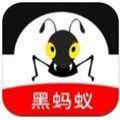 黑蚂蚁影院手机app软件下载安卓官方苹果版