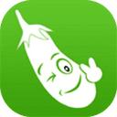 茄子直播app官方二维码