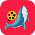 鲸鱼视频编辑app安卓版 v1.1