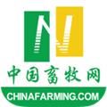 中国畜牧网