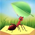 我的蚂蚁农场 安卓版v0.36