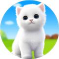 猫的选择虚拟宠物3d 最新版v1.1.7