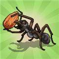 口袋蚂蚁模拟器 最新版v0.0912